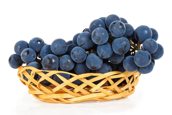 Uvas azuis em uma cesta — Fotografia de Stock