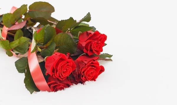 Bouquet of red roses on the white snow — Stock Photo, Image