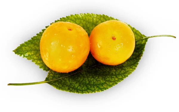 Färska gula plommon på gröna blad — Stockfoto
