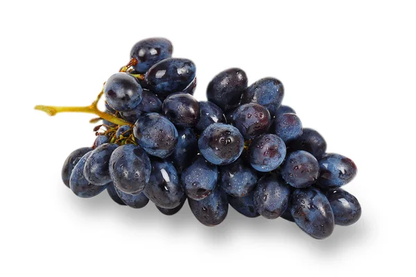 Blue grape — Stock Photo, Image