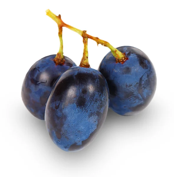 Frutas frescas de uva azul — Fotografia de Stock