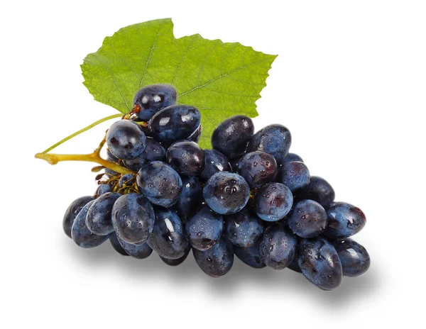 Blue grape with green leaf — Stock Photo, Image