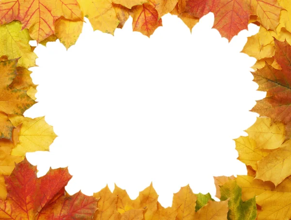 Frame of yellow maple leaves — Stock Photo, Image