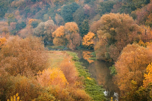 Natural lake and many big tree in autumn season — Stock Photo, Image