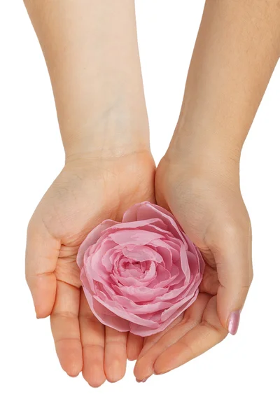 Róża w rękach kobiet — Zdjęcie stockowe