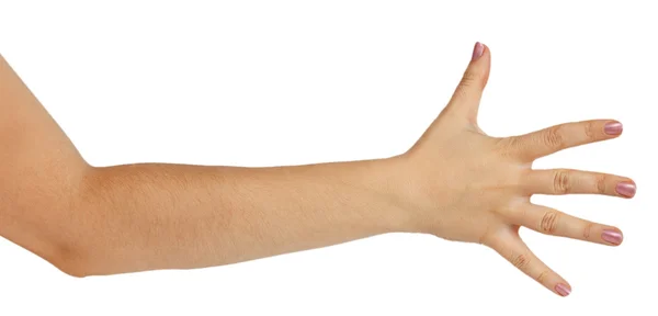 Woman hand showing the five fingers — Stok fotoğraf