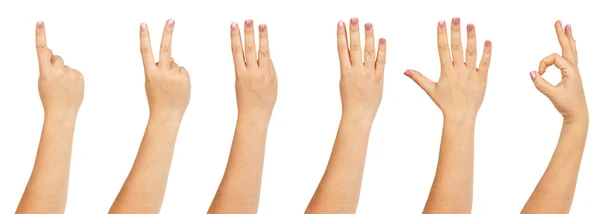 Contagem das mãos femininas — Fotografia de Stock