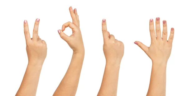 Женские руки, формирующие номер 2015 — стоковое фото