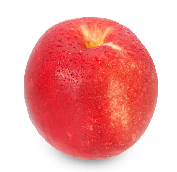 Juicy ripe nectarine — Stock Photo, Image