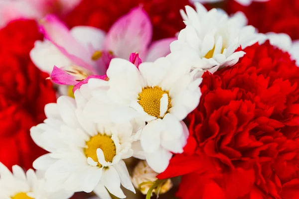 Bouquet con margherite — Foto Stock