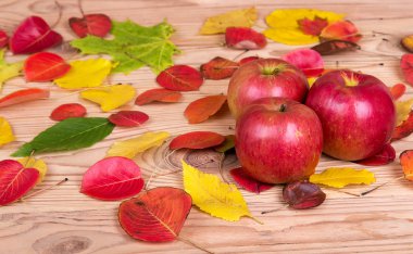 Ağaç Kırmızı elma ve renkli sonbahar yaprakları
