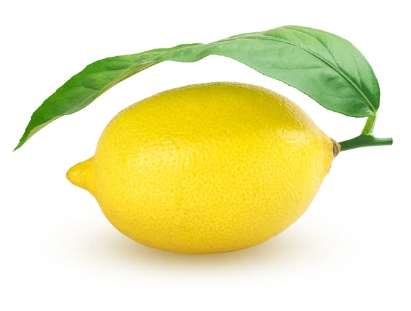 Citron frukt med blad — Stockfoto