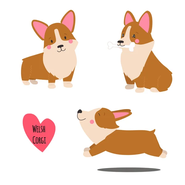 Aranyos welsh corgi készlet — Stock Vector