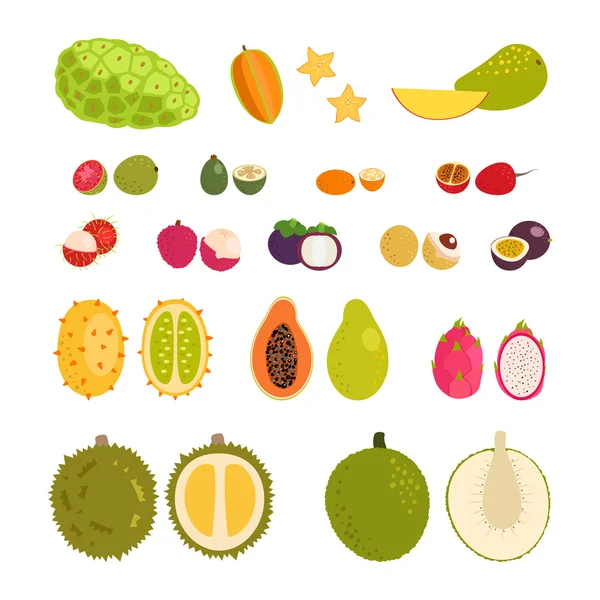 Conjunto de dibujos animados plana vector ilustración tropical frutas exóticas — Vector de stock