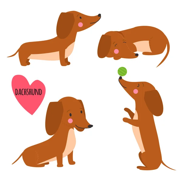 Cute dachshund set — Stockvector