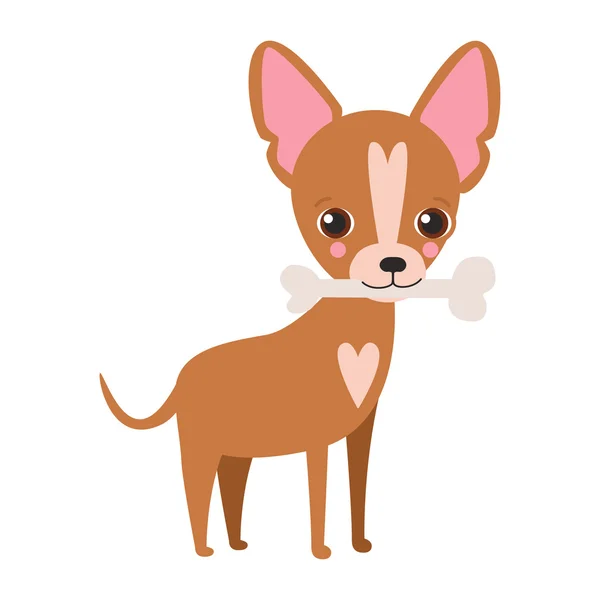 Ilustración de lindo perro Chihuahua — Vector de stock