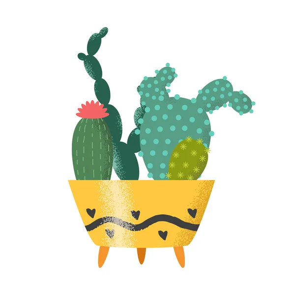 Cactus vector illustration — Stock Vector
