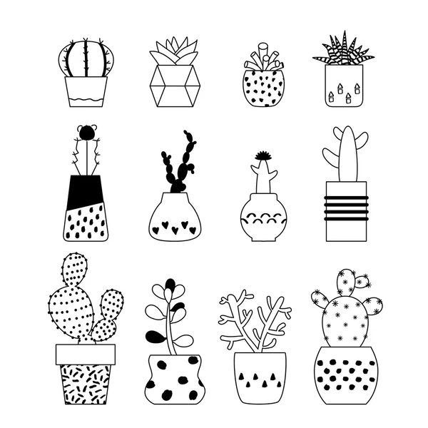 Ilustración vectorial plantas suculentas, cactus — Vector de stock