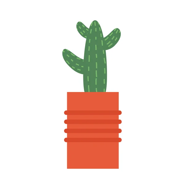Cactus vector illustration. — Stock Vector