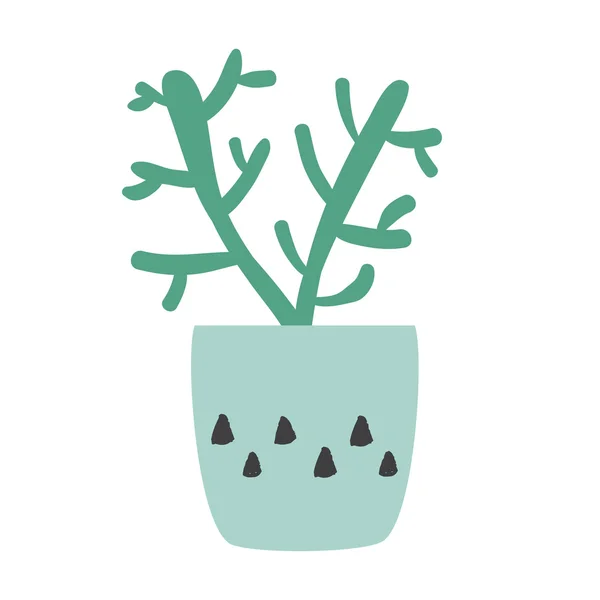 Succulents vector illustration — Stock Vector