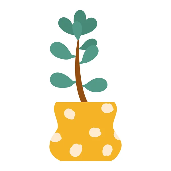 Succulents vector illustration — Stock Vector