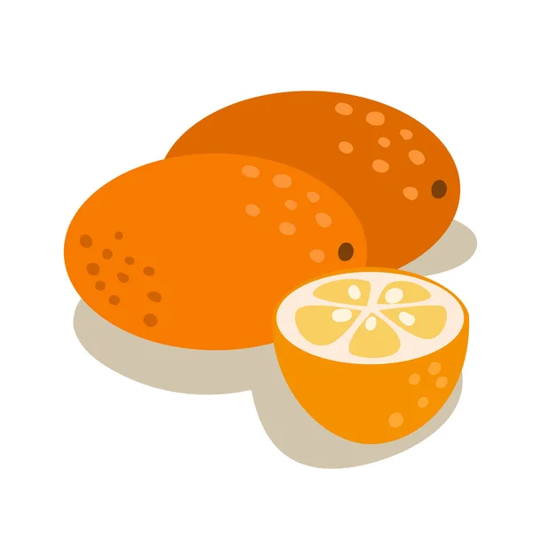 Tropical exotic fruit kumquat — Stock Vector