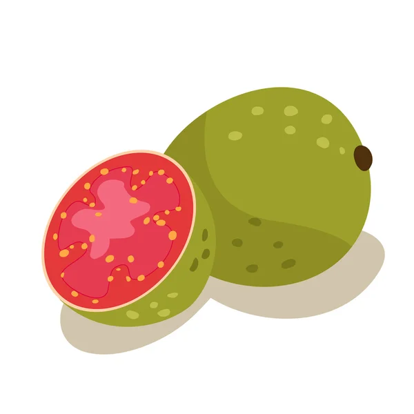 Tropical exotic fruit guajava — Stock Vector