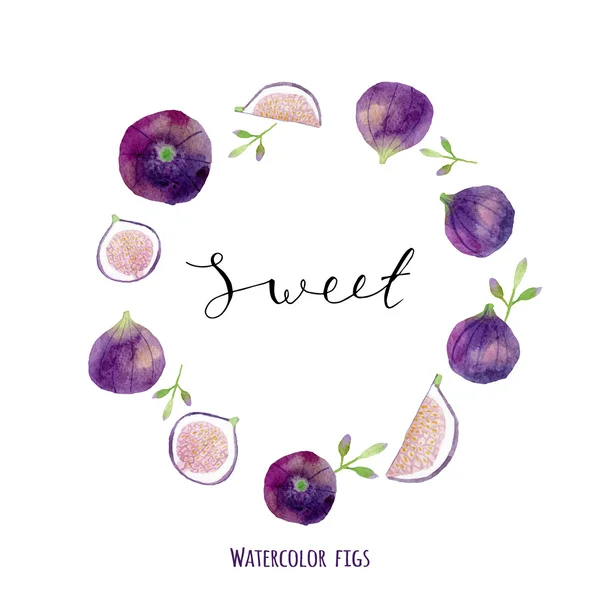 Watercolor figs — Stock Vector