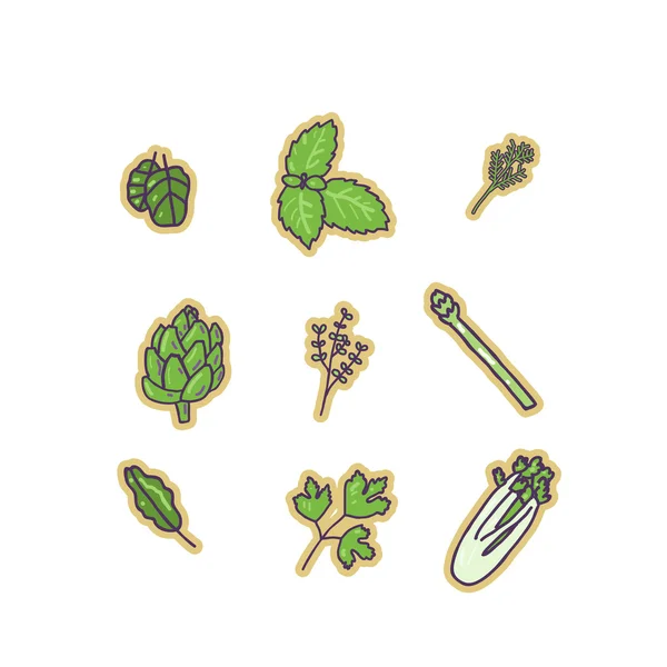 Iconos hierbas — Vector de stock