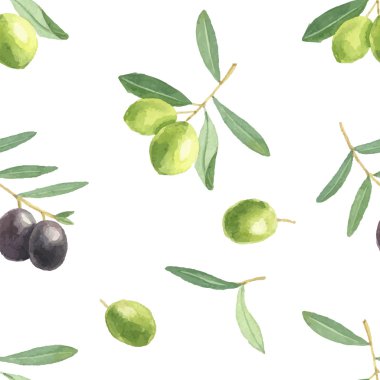 Desen suluboya zeytin