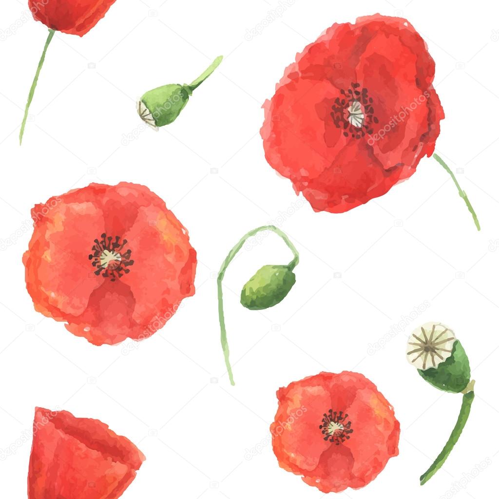 Pattern watercolor poppies