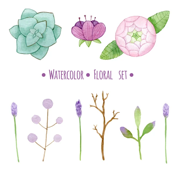 Vector conjunto de elementos florales — Vector de stock