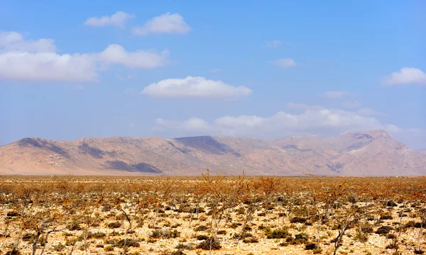 Paisaje quemado por el sol de la isla Socotra, Yemen — Foto de Stock