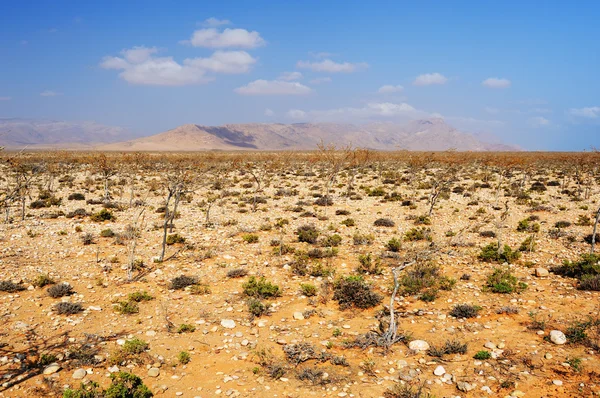 Paisaje quemado por el sol de la isla Socotra, Yemen — Foto de Stock