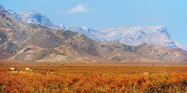 Sokotra Adası, Yemen doğa manzaralı dağlarında