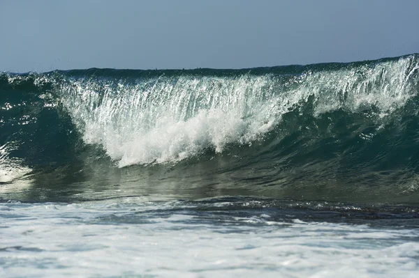 Deniz kenarı Alanya, Türkiye'nin büyük dalga