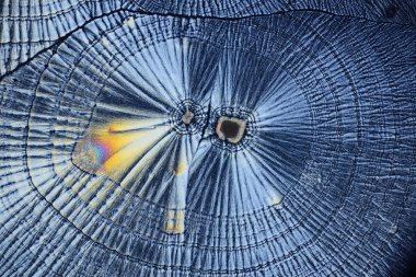 Polarize ışığın renkli mikro kristaller