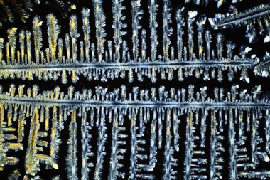 Polarize ışığın renkli mikro kristaller