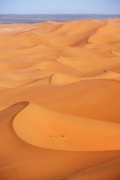 Marrocos. Dunas de areia do deserto do Saara — Fotografia de Stock