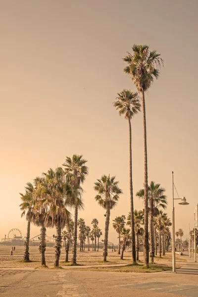 Beach léto - Los Angeles, Kalifornie — Stock fotografie