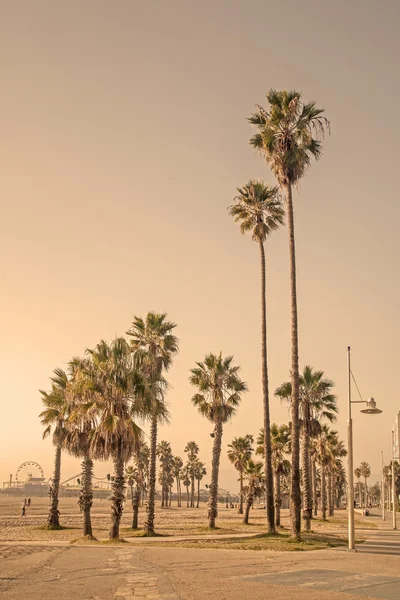 Summer Beach - Los Angeles, California Foto Stock Royalty Free