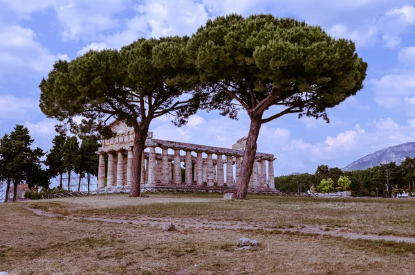 Templi greci di Paestum in Italia — Foto Stock