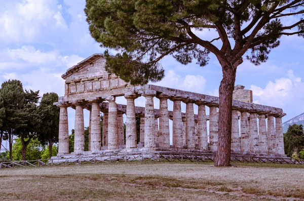 Griekse tempels bij Paestum in Italië — Stockfoto