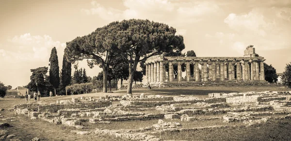 Griekse tempel van Athena in Paestum. Italië — Stockfoto