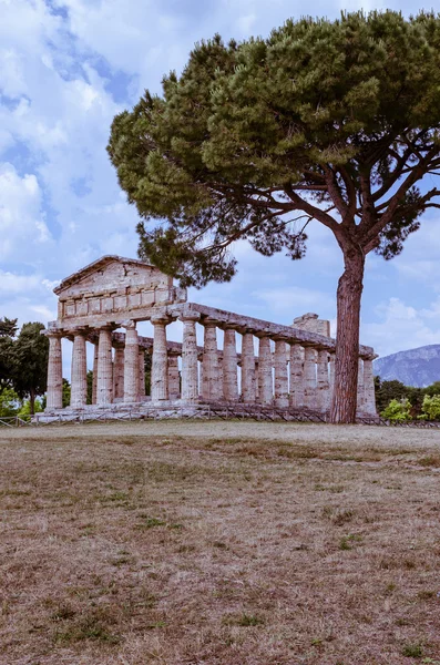 Templi greci di Paestum in Italia — Foto Stock