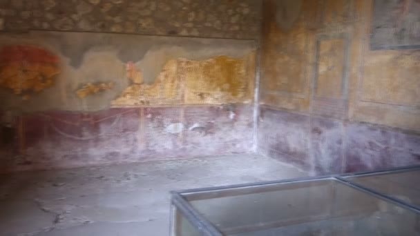 Gli sciacalli morirono tentando di rubare a Pompei — Video Stock