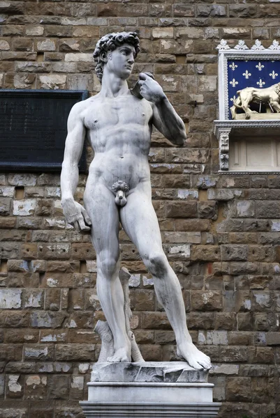 Michelangelo'nun David — Stok fotoğraf