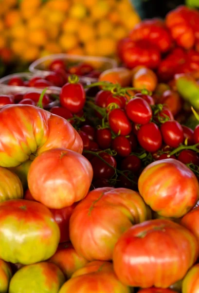 Tomaten te koop — Stockfoto