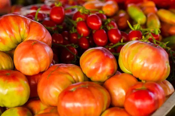 Tomaten te koop — Stockfoto