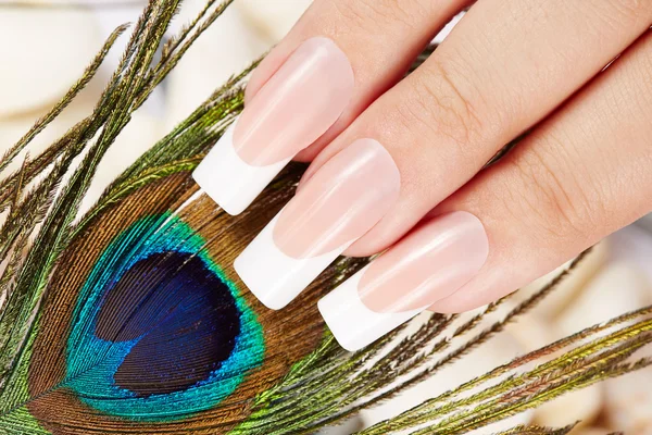 Unghie con lunga manicure artificiale francese e piuma di pavone — Foto Stock